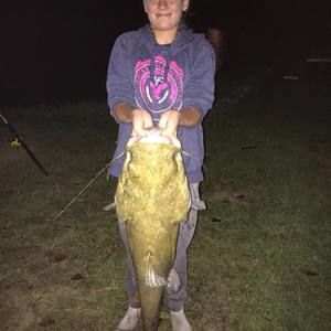 Meet your Posher, Hailey